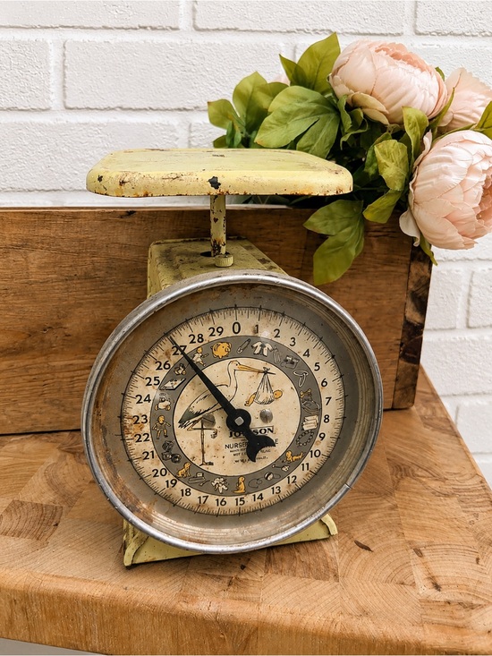 Other - Vintage Hanson Nursery Scale Wall Decor in Pale Yellow